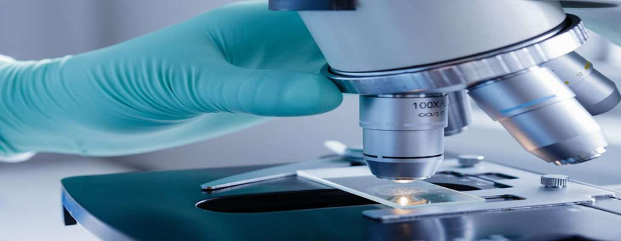 Histopathology